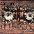 IoneCitrin